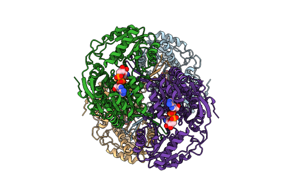 8C54 image
