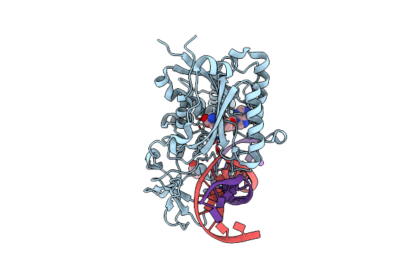 8C56 image