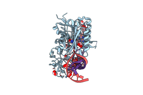 8C59 image