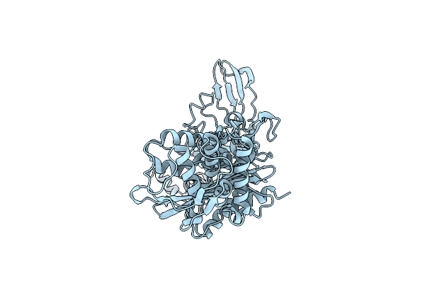 8C5B image