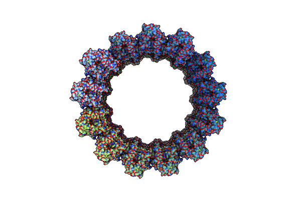 8C5C image