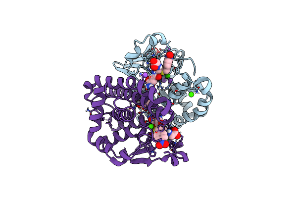 8C5D image