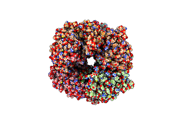 8C5I image
