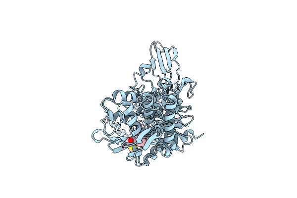 8C5O image