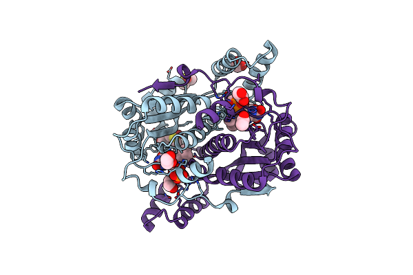 8C5P image