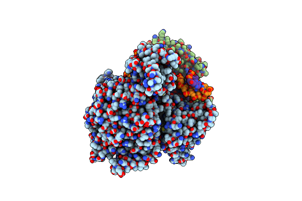 8C5S image