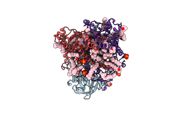 8C5X image