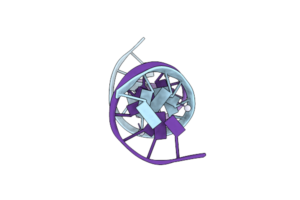 8C62 image
