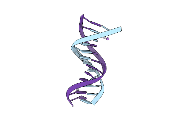 8C64 image