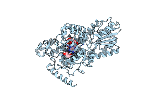 8C6F image