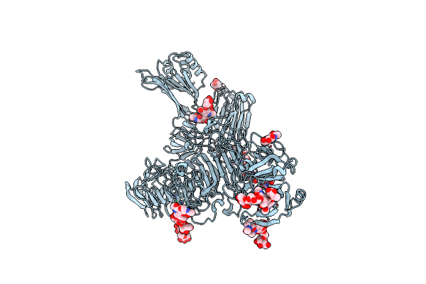 8C6I image