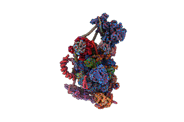 8C6J image