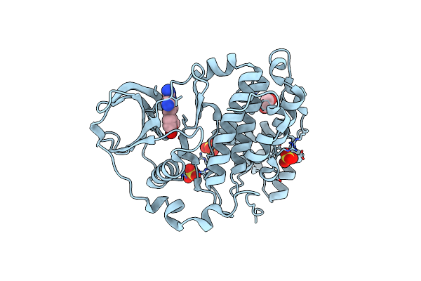 8C6L image