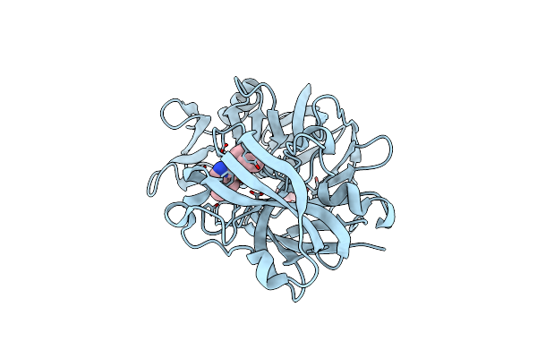 8C6S image