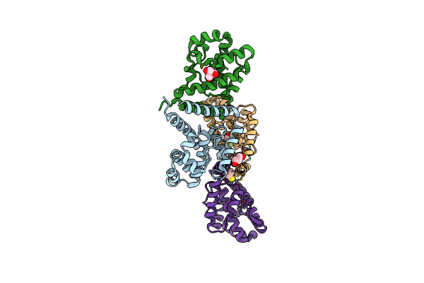 8C6V image