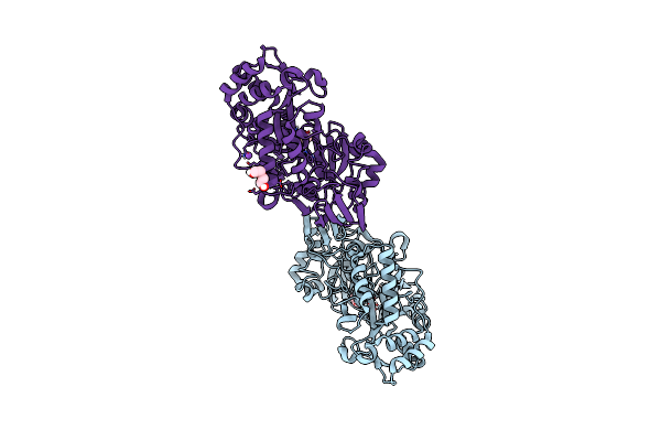 8C75 image