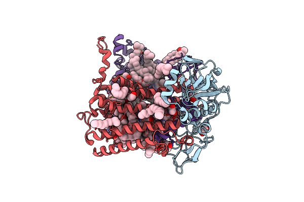 8C7C image