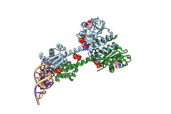 8C7S image