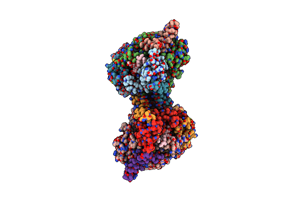 8C82 image