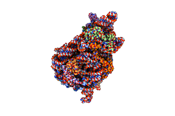 8C83 image