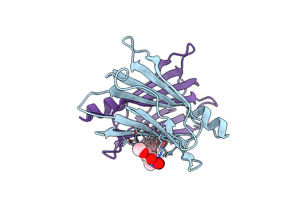 8C85 image