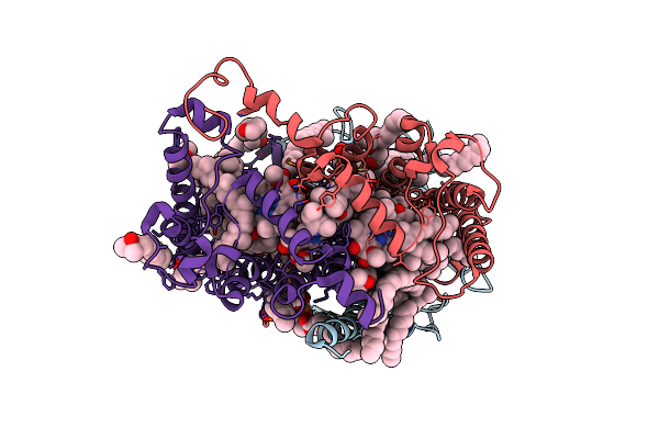 8C88 image