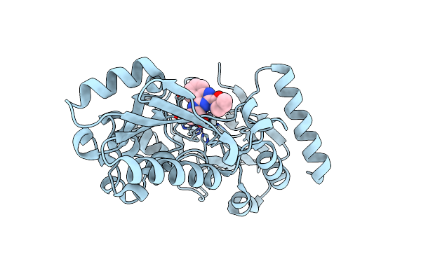8C8B image