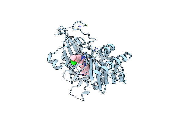 8C8C image