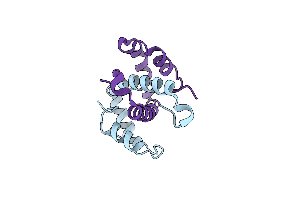8C8E image