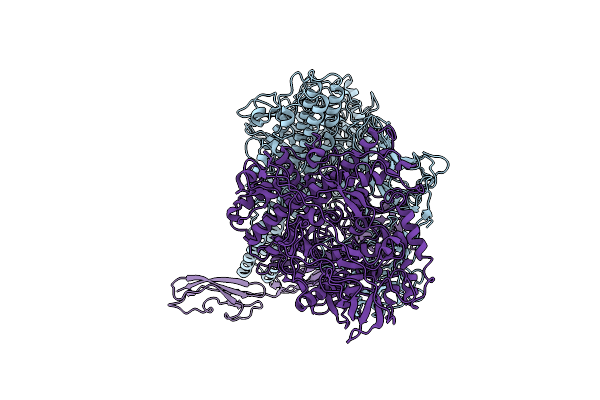 8C8G image