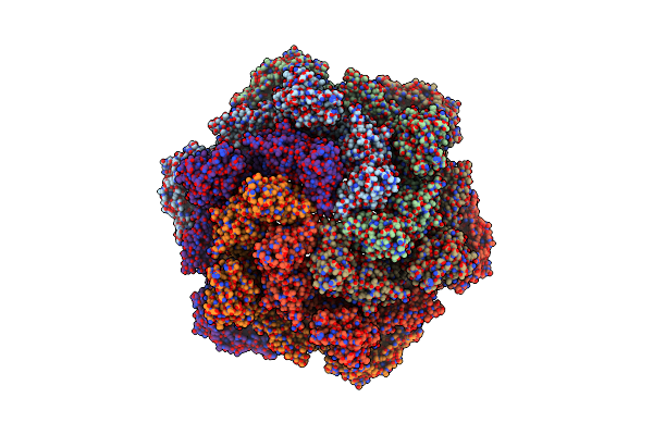 8C8L image