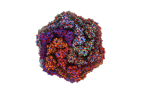 8C8M image