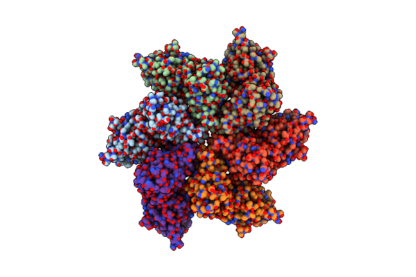 8C8N image