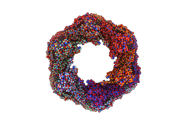 8C8O image