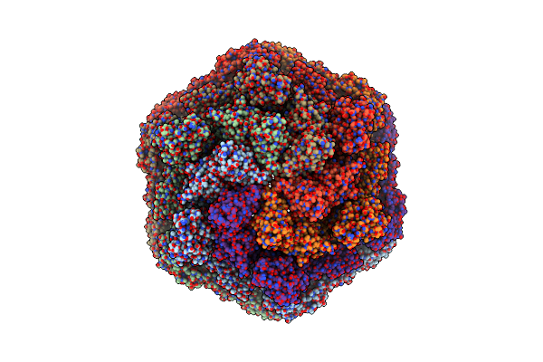 8C8R image