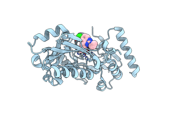 8C8S image