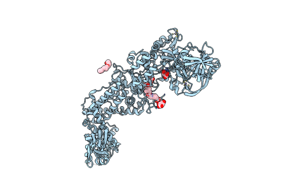 8C8U image