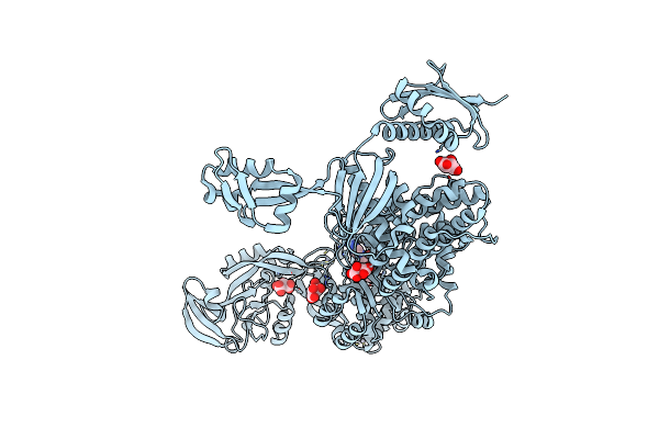 8C8V image