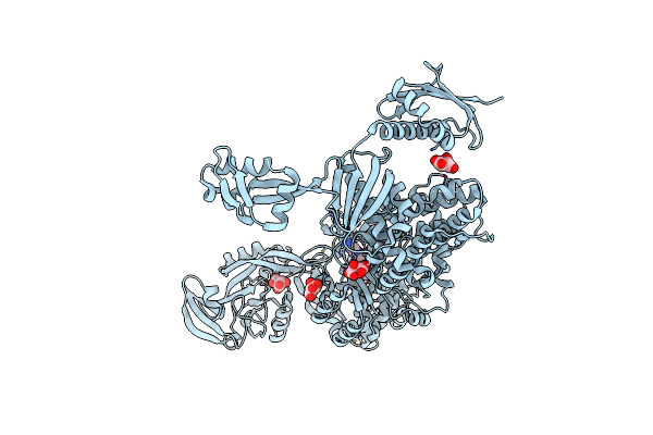 8C8W image