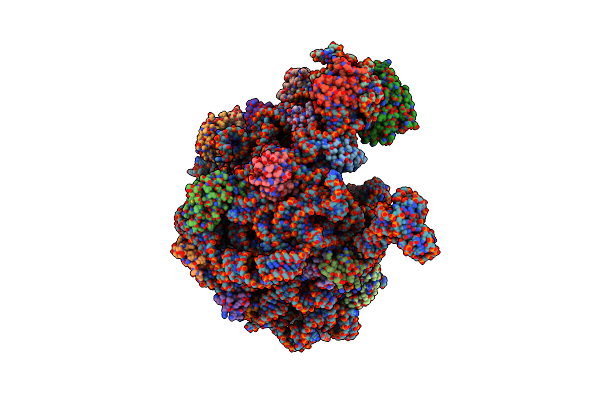 8C8X image
