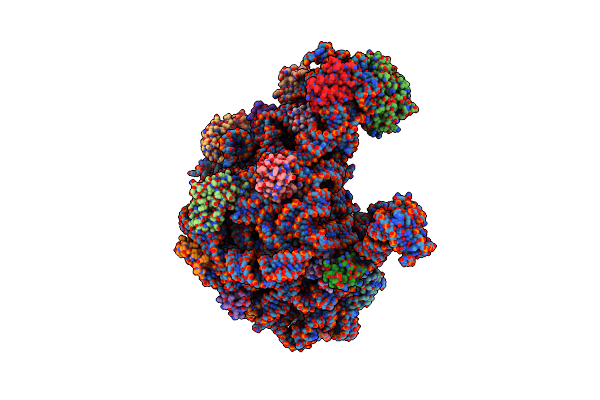 8C8Y image