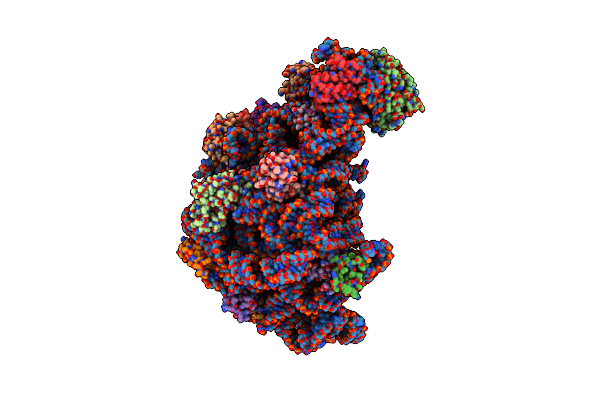 8C8Z image