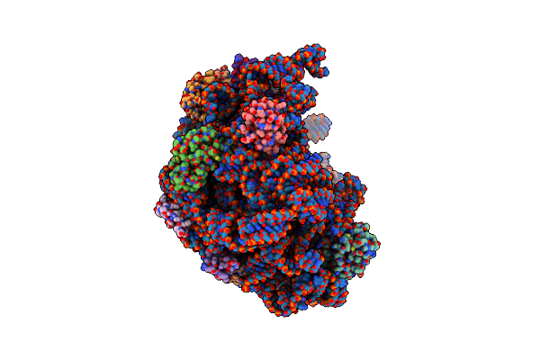 8C91 image