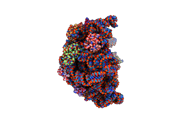 8C92 image