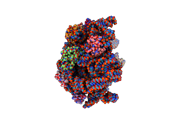 8C96 image