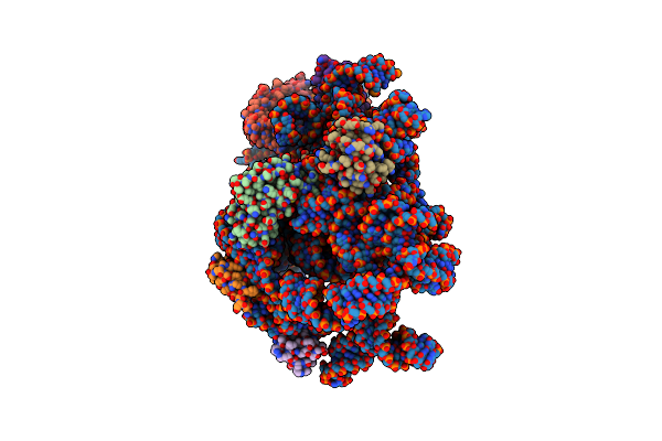 8C99 image