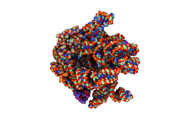 8C9B image