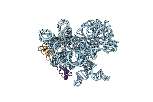 8C9C image