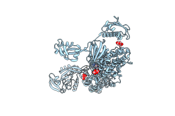 8C9D image