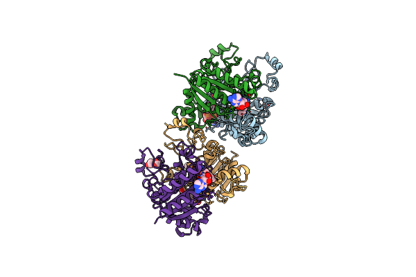 8C9J image